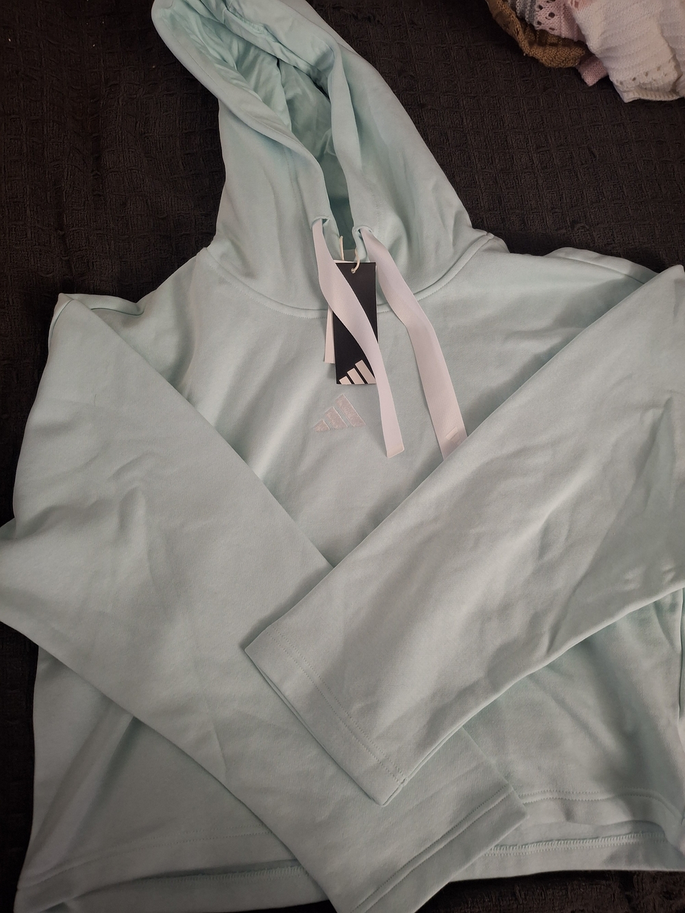 Adidas Women's Light Mint Hoodie Sweater